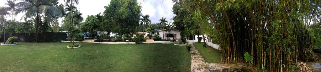 San San Tropez Hotel Port Antonio Luaran gambar